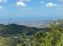 Finca de 39.21 cuerdas en Barrio Pulguillas, Coamo
