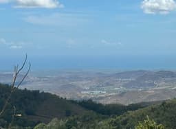 Finca de 39.21 cuerdas en Barrio Pulguillas, Coamo