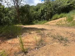Finca de 39.21 cuerdas en Barrio Pulguillas, Coamo